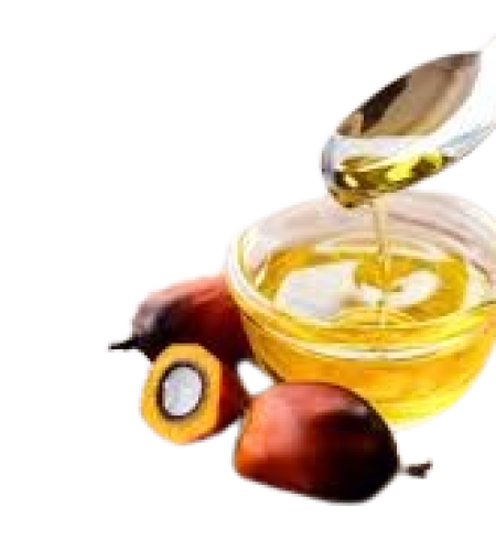 kernel-removebg-preview